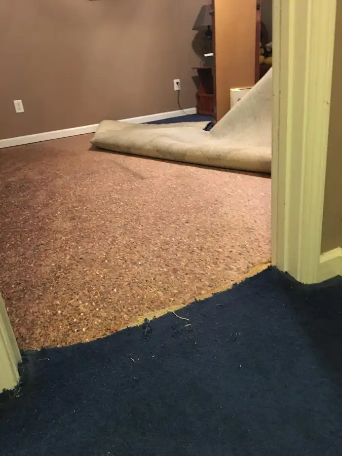 Carpet pad removal revealing water damage during Drying & Dehumidification in Willmar