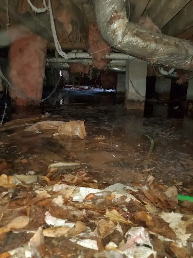 Crawl space flood assessment for Leak Detection & Repair in Willmar