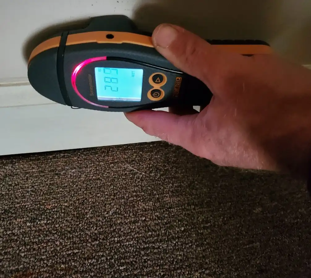 Moisture detection at baseboard during Mold Inspection & Testing in Willmar